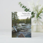 Tuolumne River by Campground, Yosemite, CA Postcar ポストカード (スタンド正面)