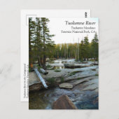 Tuolumne River by Campground, Yosemite, CA Postcar ポストカード (正面/裏面)