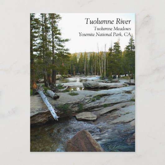 Tuolumne River by Campground, Yosemite, CA Postcar ポストカード (正面)