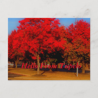 Tupeloからこんにちは ポストカード