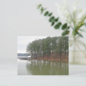 Tupelo Lakeside Reflections 風景写真 ポストカード (スタンド正面)