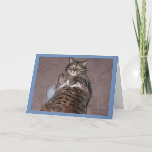 Tuph誕生日カード付き猫 カード (正面)