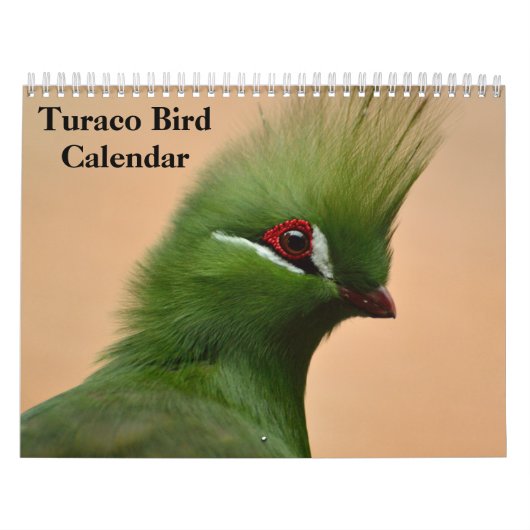 Turaco Bird 2025カレンダー カレンダー (カバー)