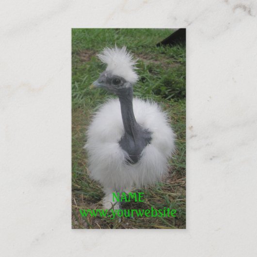 Turkenの膚触りがよい女の子 名刺 (正面)