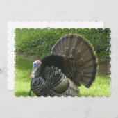 turkey-1.jpg 招待状 (正面/裏面)