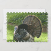 turkey-1.jpg 招待状 (正面)