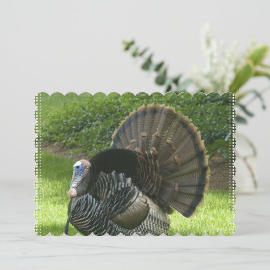 turkey-1.jpg 招待状 (スタンド正面)