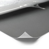 Turkey Bubble Bath Print, Black and White Animal ポスター (角)