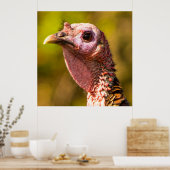 Turkey Up Close and Personal 32 x 32ポスター ポスター (キッチン)