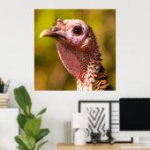 Turkey Up Close and Personal 32 x 32ポスター ポスター (ホームオフィス)