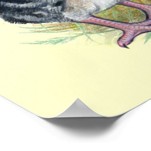 Turkeys Eastern Wild Family ポスター (角)