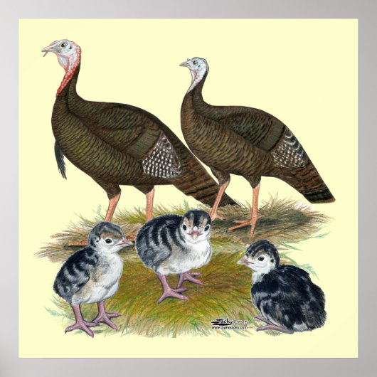 Turkeys Eastern Wild Family ポスター (正面)