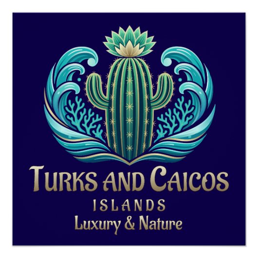 Turks and Caicos Islands ポスター (正面)