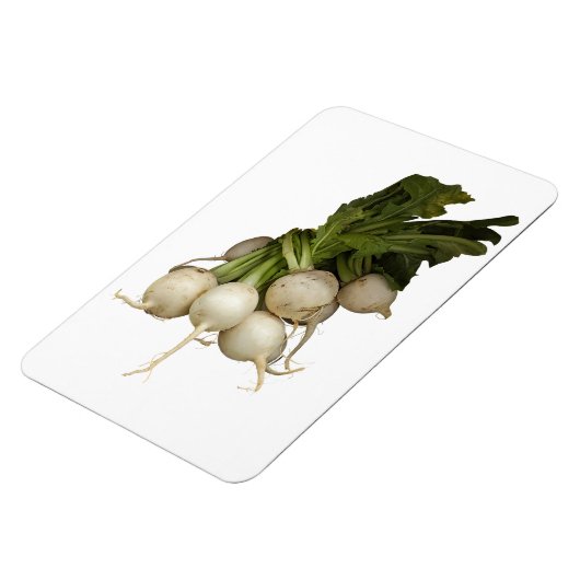 Turnips Photo Magnet マグネット (左側)