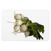 Turnips Photo Magnet マグネット (横)
