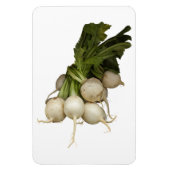 Turnips Photo Magnet マグネット (縦)