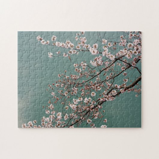 turquoisの背景の淡いピンクの桜 ジグソーパズル (横)