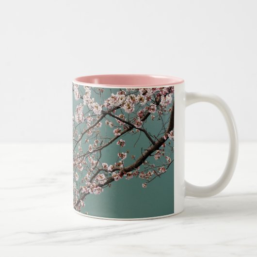 turquoisの背景の淡いピンクの桜 ツートーンマグカップ (右)