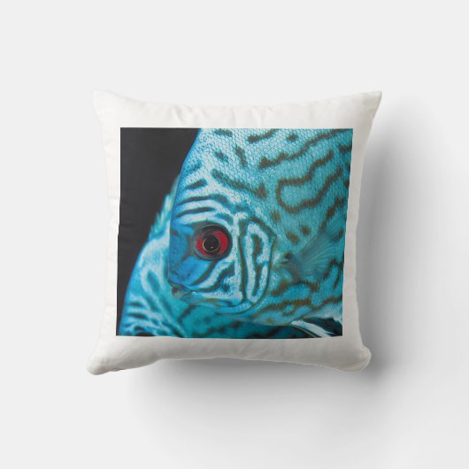 Turquoise Blue Discus クッション (裏面)