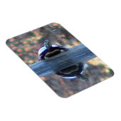 Turtle反射マグネット(フレキシブル) マグネット (右側)