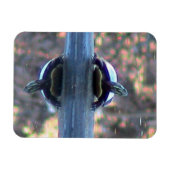 Turtle反射マグネット(フレキシブル) マグネット (横)