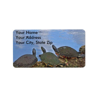 Turtle宛名ラベル ラベル