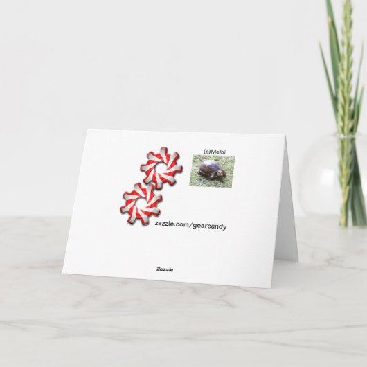 Turtle - Belated Birthday カード (裏面)