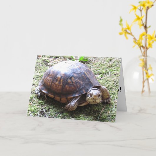 Turtle - Belated Birthday カード (黄色い花)