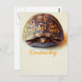 Turtle by JerseyFawn ポストカード (正面/裏面)