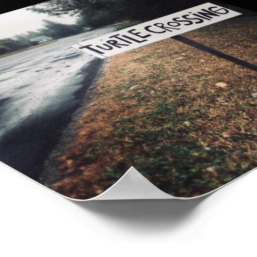 turtle crossing ポスター (角)