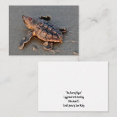 Turtle Hatchling note card ノートカード (正面/裏面)