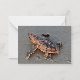 Turtle Hatchling note card ノートカード