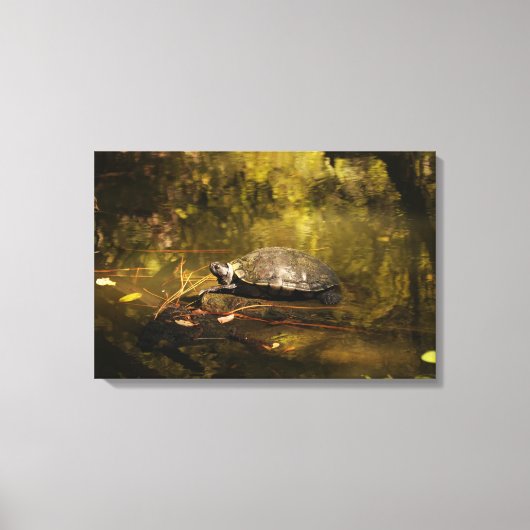Turtle in Natural Environment - Canvas Print キャンバスプリント (正面)