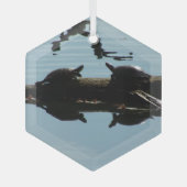 Turtle Interaction Ornament ガラスオーナメント (正面)