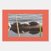 Turtle Lover Wrapping Paper Flat Shts Set of 3 ラッピングペーパーシート (正面2)