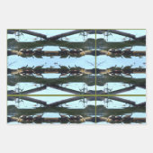 Turtle Lover Wrapping Paper Flat Shts Set of 3 ラッピングペーパーシート (正面3)