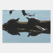 Turtle Lover Wrapping Paper Flat Shts Set of 3 ラッピングペーパーシート (正面2)