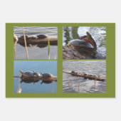 Turtle Lover Wrapping Paper Flat Shts Set of 3 ラッピングペーパーシート (正面)