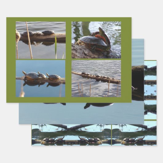 Turtle Lover Wrapping Paper Flat Shts Set of 3 ラッピングペーパーシート (セット)