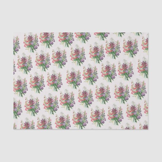 TurtleheadsおよびBeardtongues 薄葉紙 (正面)