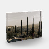 Tuscan landscape hidden behind cypresses (2024) フォトブロック (左)