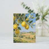 Tuscan Lemon Tree Landscape ポストカード (スタンド正面)