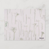 Tuscany Landscape ポストカード (裏面)