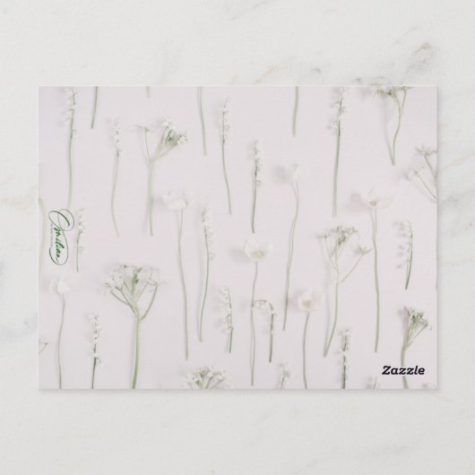 Tuscany Landscape ポストカード (裏面)