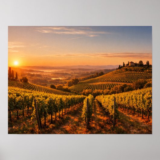 Tuscany Vineyard at Sunset Landscape ポスター (正面)
