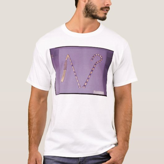 Tutankhamunの墓からの屈折そして殻竿、 Tシャツ (正面)