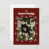 Tuxedoの猫遊はクリスマスツリーに。 (正面/裏面)