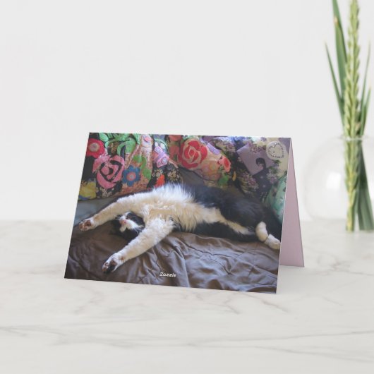 Tuxedo猫メキおもしろいシコ波マザーズのデイカード カード (裏面)