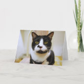 Tuxedo猫誕生日マイク・ユーモア・カード カード (裏面)