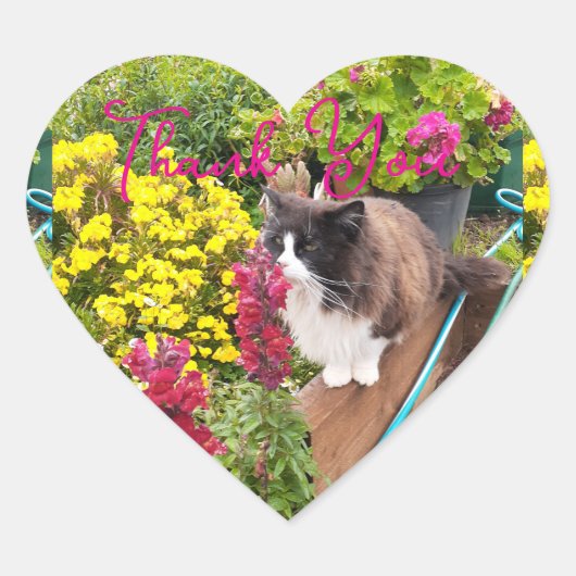 Tuxedo Black White Cat Red Yellow Flower Thank You ハートシール (正面)